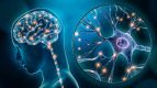 neuroplasticitate