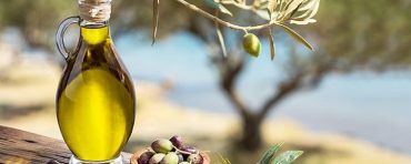 ulei de masline - cum alegem un ulei de masline de calitate