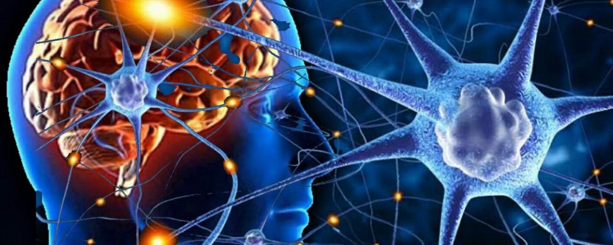 neuroplasticitatea